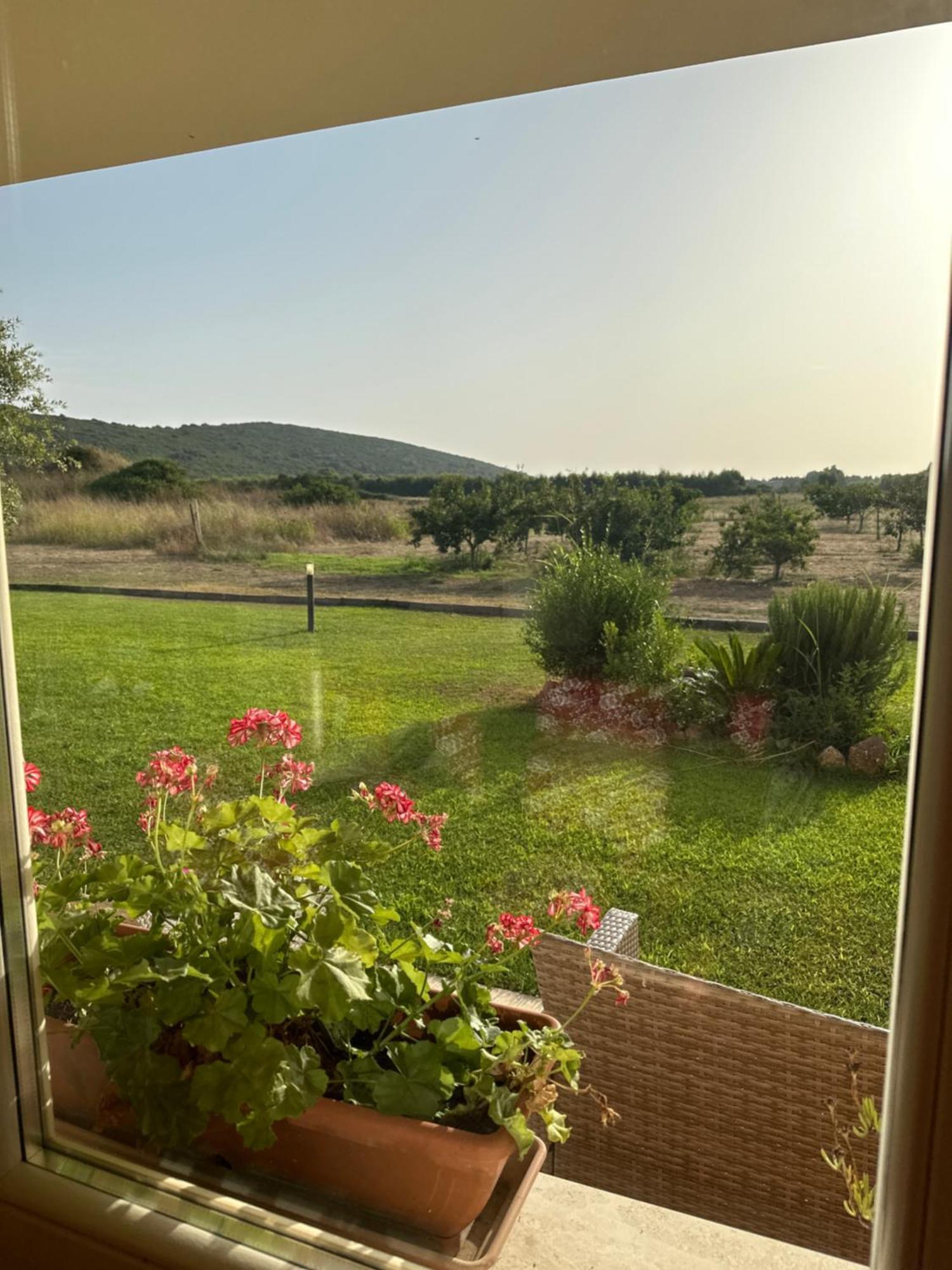Villa Arzilla Sardegna Alghero Eksteriør billede